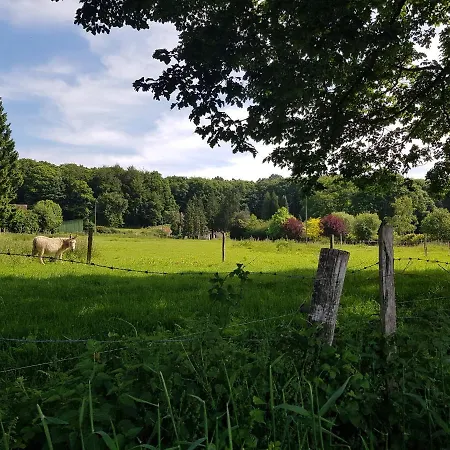 Gite En Lisiere De Foret Andaine Perrou Exterior photo