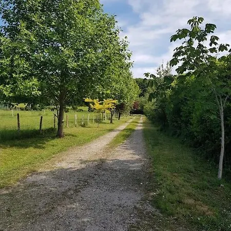 Gite En Lisiere De Foret Andaine Perrou Exterior photo